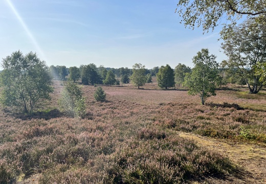 23-09-10 16-00-22 6636